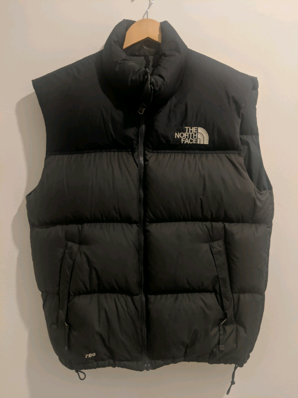 north face goose down 700